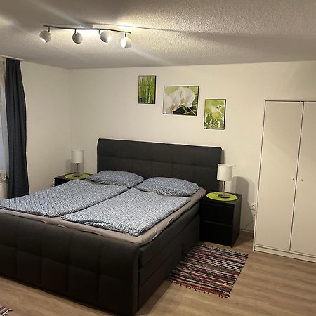 Ferienhaus Ayna, Direkt An Der Schweizer Grenze Bad Säckingen Exterior foto